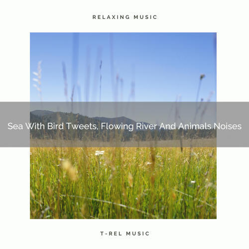 Sea With Bird Tweets, Flowing River And Animals Noises