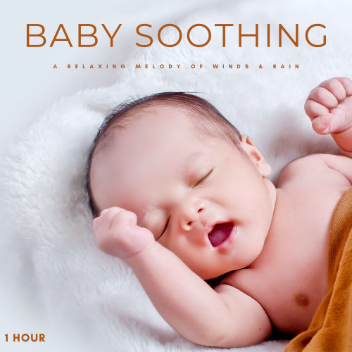 Baby Soothing: A Relaxing Melody Of Winds & Rain - 1 Hour