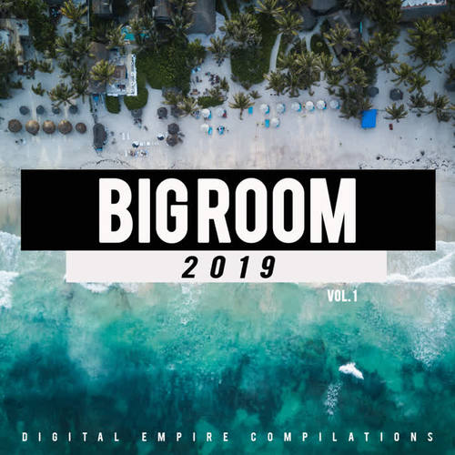 Big Room 2019, Vol.1