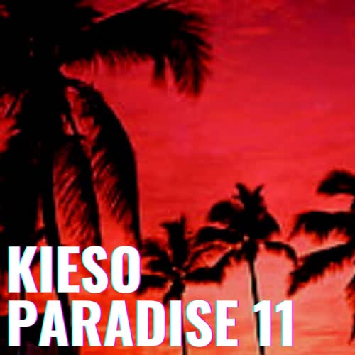 Kieso Paradise 11