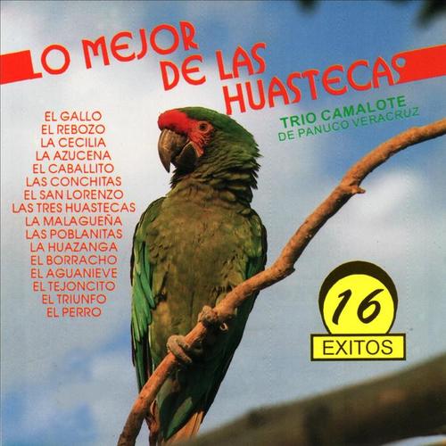 Lo Mejor de la Huasteca (16 Éxitos)