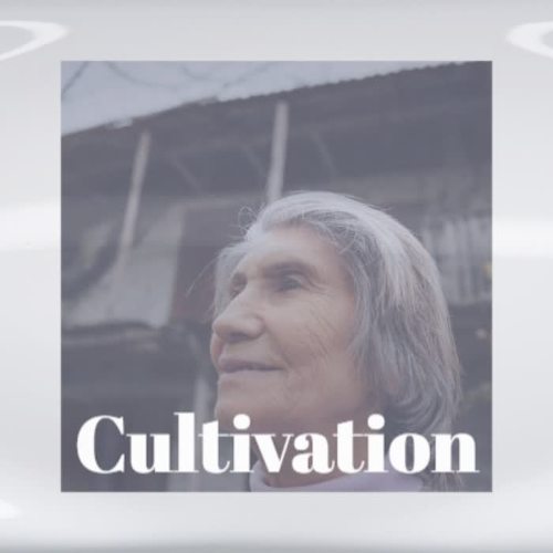 Cultivation