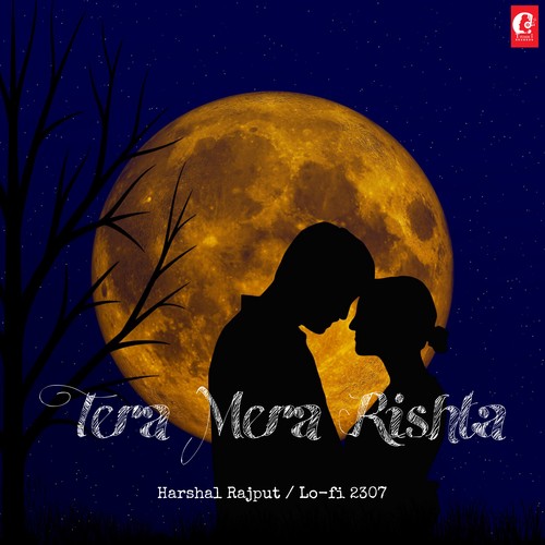 Tera Mera Rishta Lofi Mix