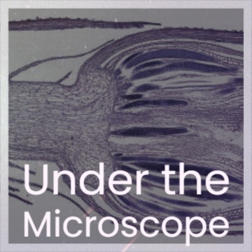 Under the Microscope