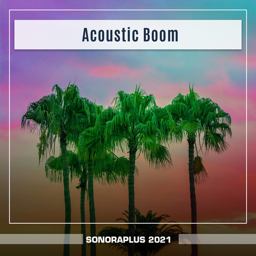 Acoustic Boom Sonoraplus 2021