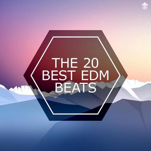 The 20 Best EDM Beats