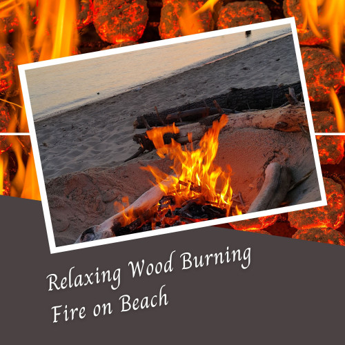 Relaxing Wood Burning Fire on Beach - 3 Hours