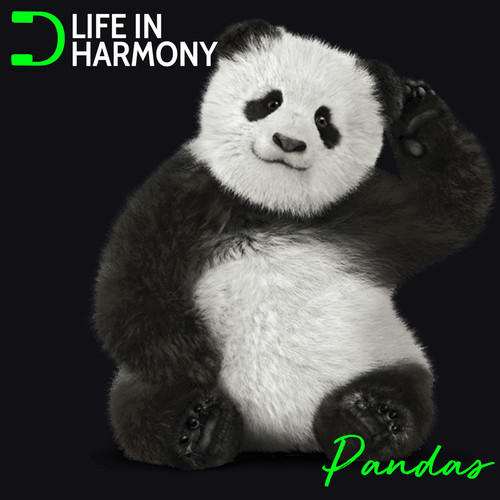 Life In Harmony: Pandas