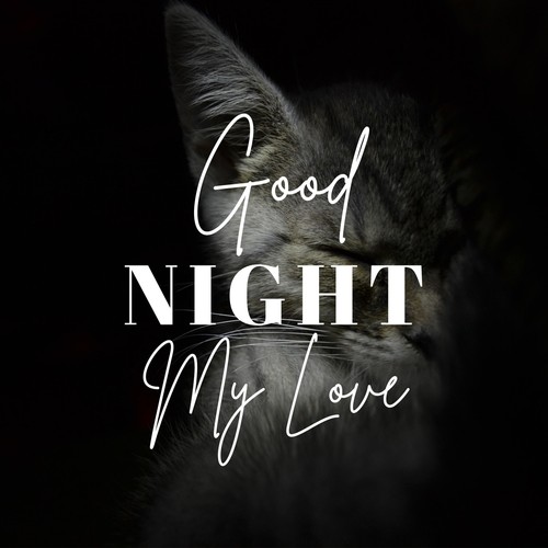 Good Night My Love