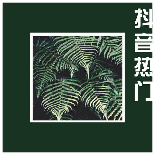 抖音热门