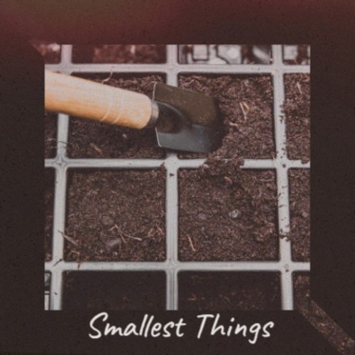 Smallest Things