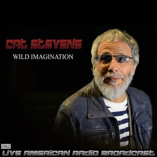 Wild Imagination (Live)