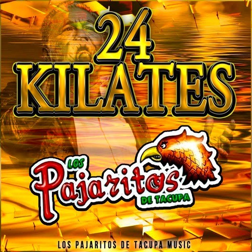 24 Kilates