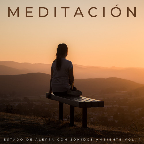 Meditación: Estado De Alerta Con Sonidos Ambiente Vol. 1