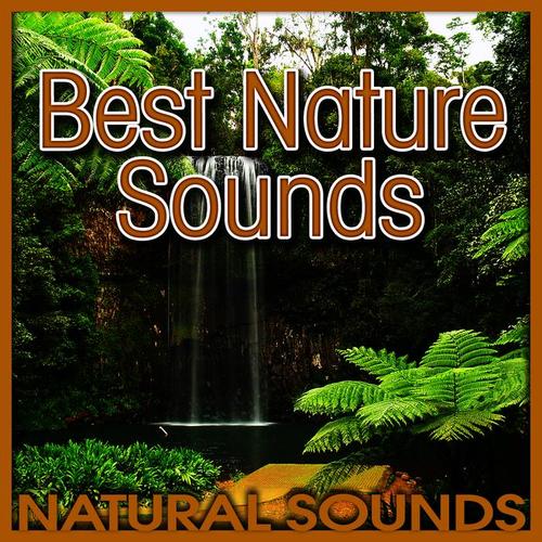 Best Nature Sounds (Nature Sound)