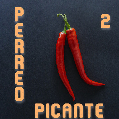 Perreo Picante Vol. 2 (Explicit)