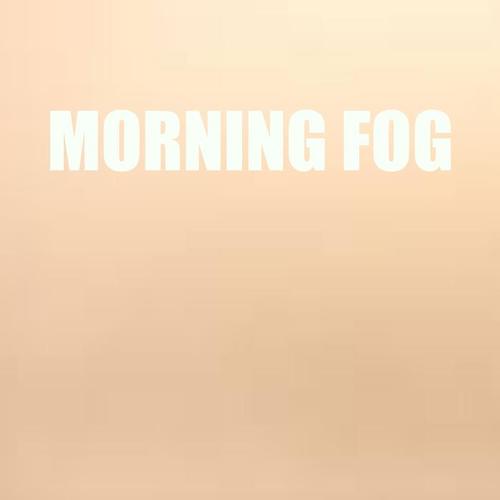 Morning Fog