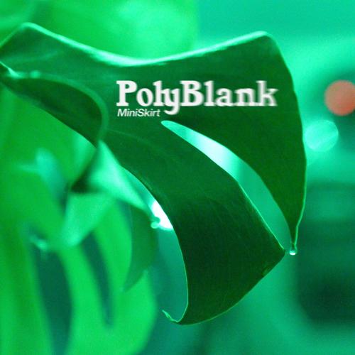 PolyBlank