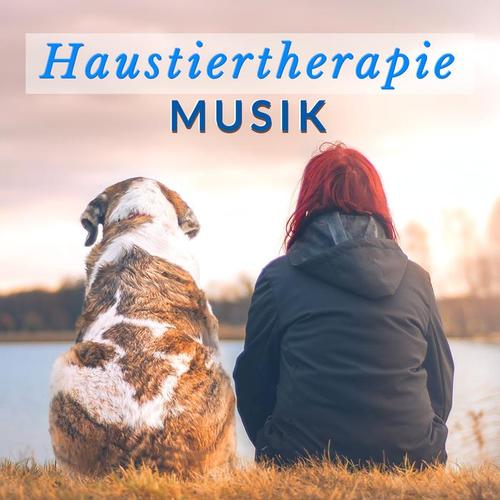 Haustiertherapie Musik: Sammlung Beruhigender Lieder, die Unseren Kleinen Freunden Ruhe und Inneren Frieden Schenken