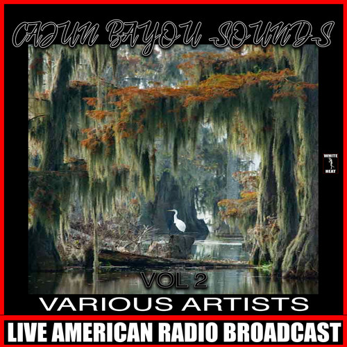 Cajun Bayou Sounds, Vol. 2
