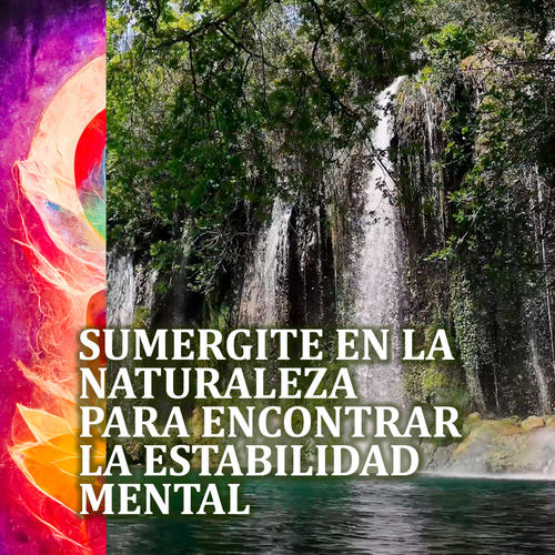 Sumergite En La Naturaleza Para Encontrar La Estabilidad Mental