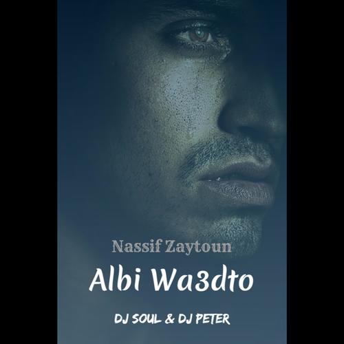 Nassif Zaytoun Ekrahak Bakik (DJ SOUL, DJ PETER Remix)