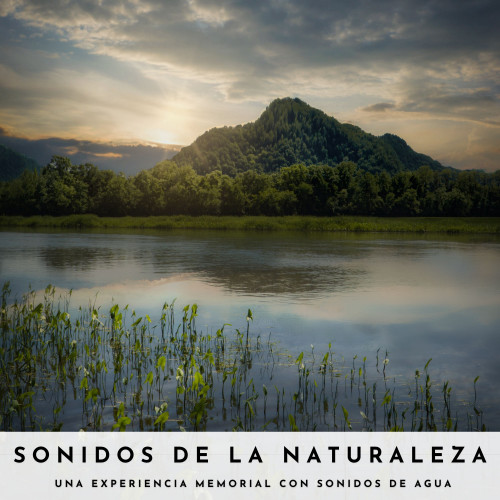 Sonidos De La Naturaleza: Una Experiencia Memorial Con Sonidos De Agua