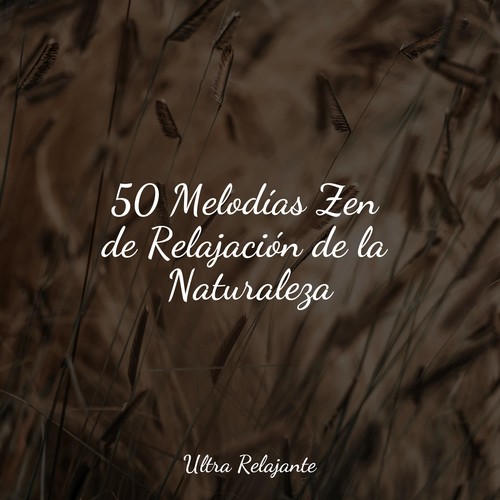 50 Melodías Zen de Relajación de la Naturaleza