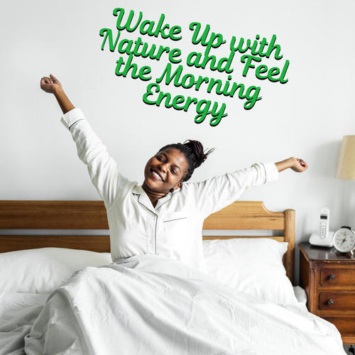 Wake Up with Nature and Feel the Morning Energy. Start the Day Again and Relax