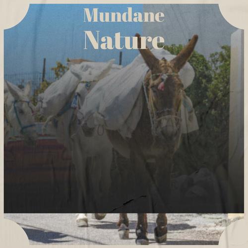 Mundane Nature