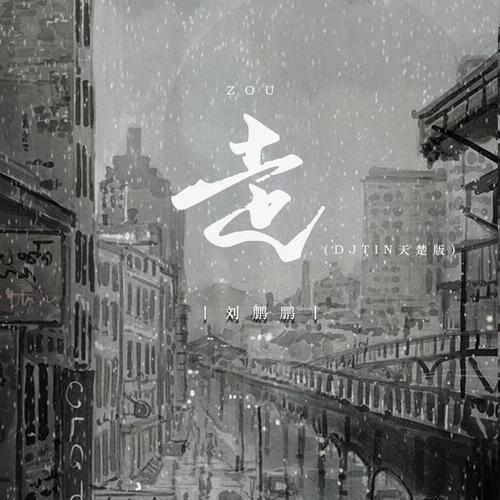 走 (DJTIN天楚版)