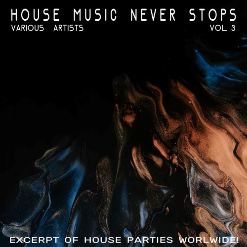 House Music Never Stops, Vol. 3