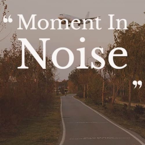 Moment in Noise