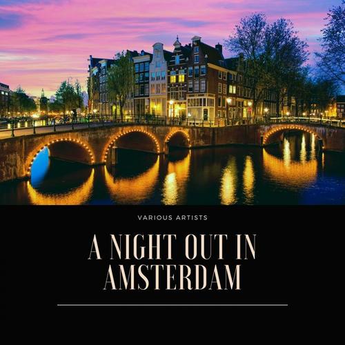 A Night Out in Amsterdam