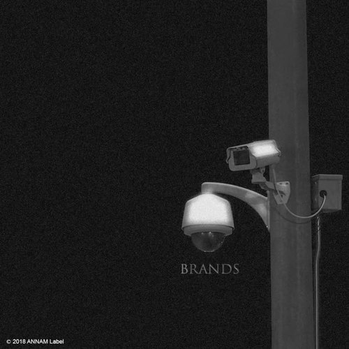 Brands (Explicit)