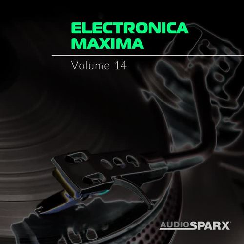 Electronica Maxima Volume 14