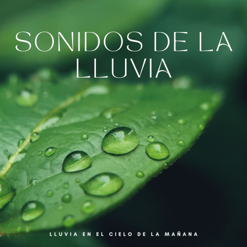 Sonidos De La Lluvia: Lluvia En El Cielo De La Mañana