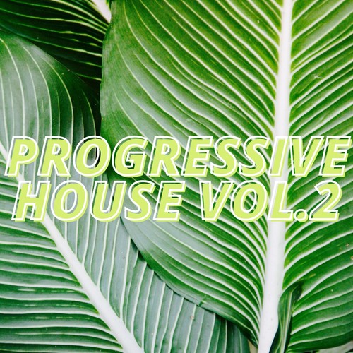 Progressive House Vol.2