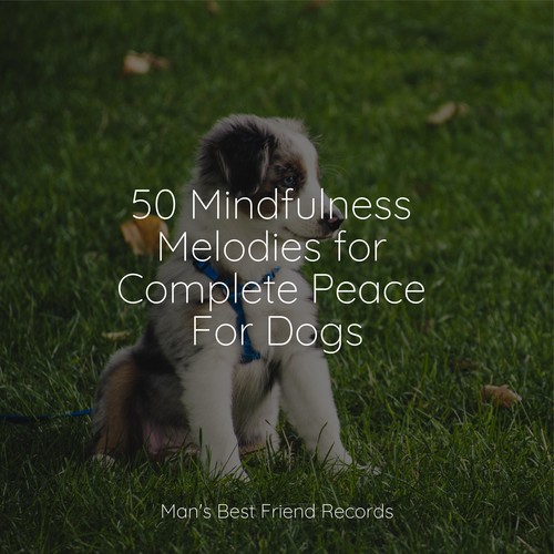 50 Mindfulness Melodies for Complete Peace For Dogs