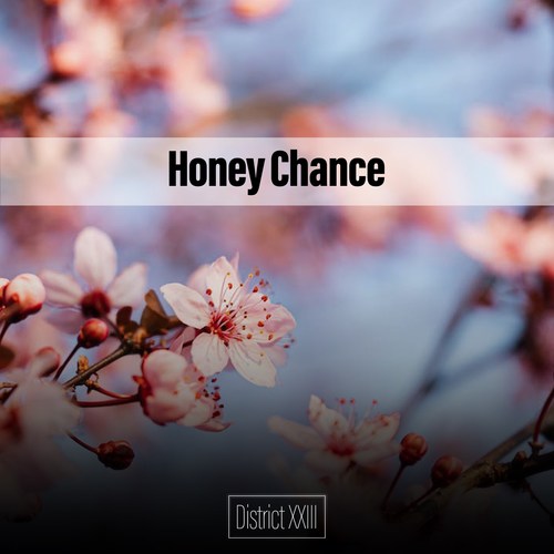 Honey Chance District XXIII