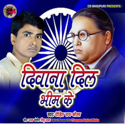 Diwana Dil Bhim Ke - Single