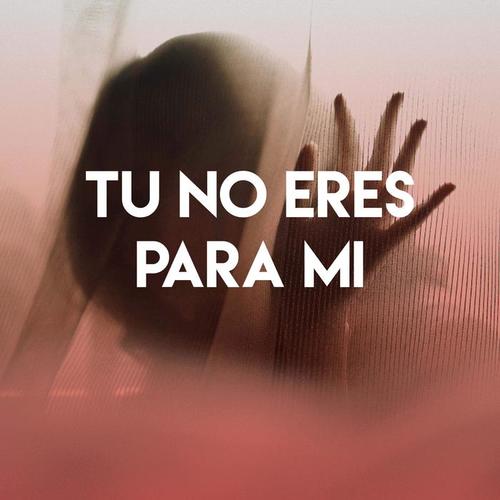 Tu No Eres Para Mi