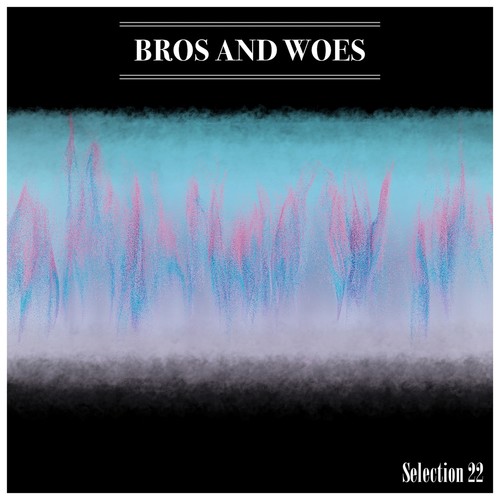 Bros And Woes Selection 22