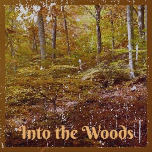 Into the Woods