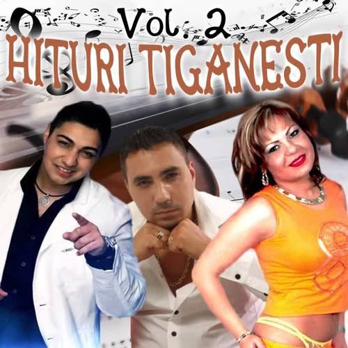 Hituri Tiganesti, Vol. 2