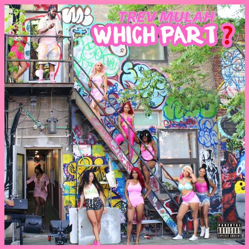 Which Part (Taliban Freestyle) (Pum Pum Version) [Explicit]