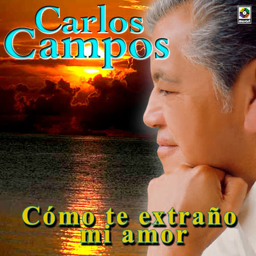 Cómo Te Extraño Mi Amor