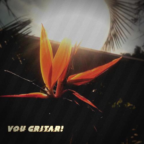 Vou Gritar!
