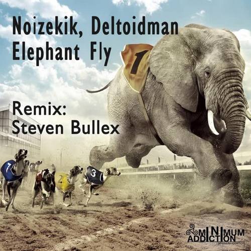 Elephant Fly