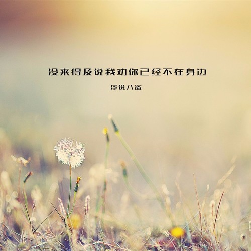 没来得及说我劝你已经不在身边